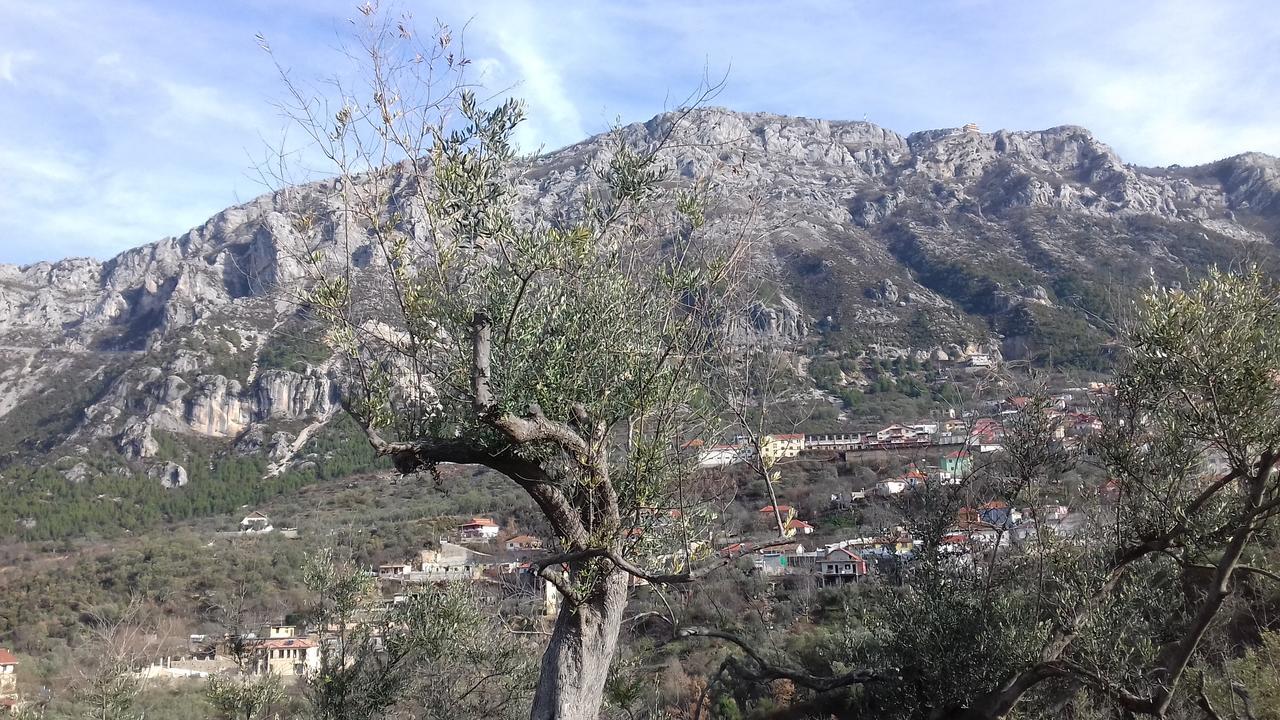 Kruja Hostel エクステリア 写真