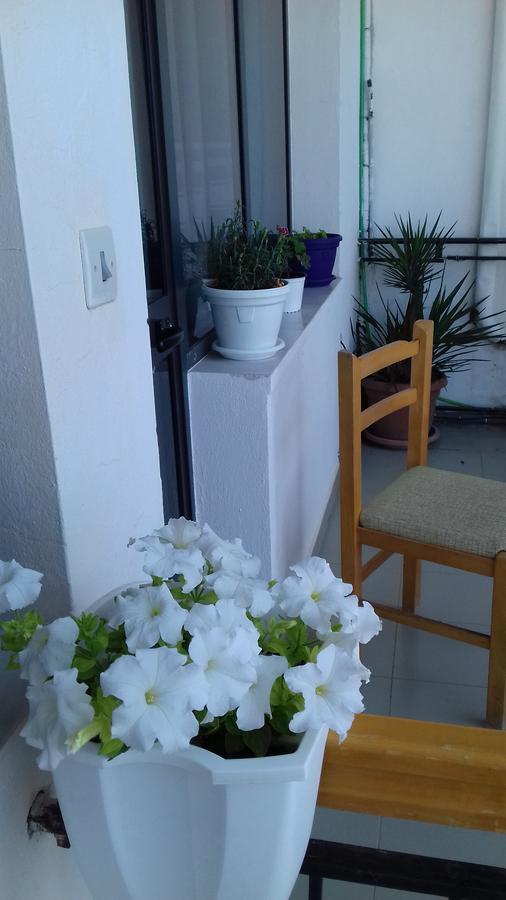 Kruja Hostel エクステリア 写真