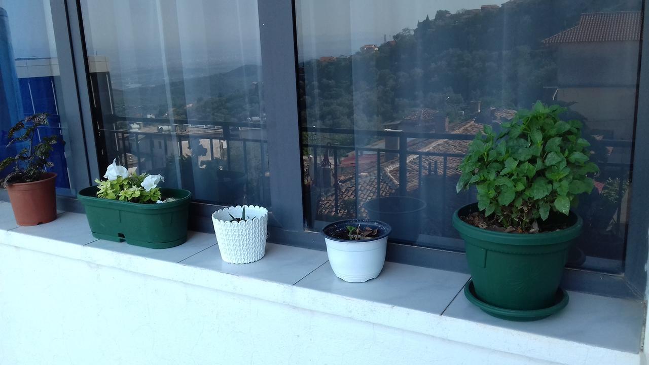 Kruja Hostel エクステリア 写真