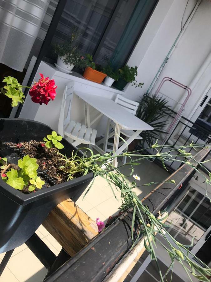 Kruja Hostel エクステリア 写真